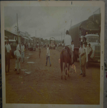 FOTOGRAFIA ANTIGUA DE LAS FERIAS Y FIESTAS EN SAN JUAN DE ARAMA