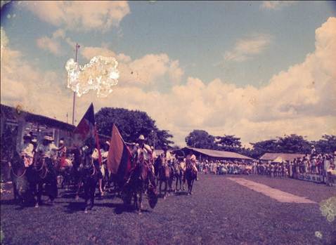 FESTIVAL DE COLONIAS