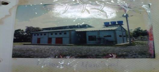 el matadero